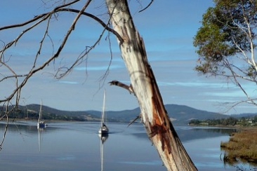 The Huon River at Jackson's Point. Franklin